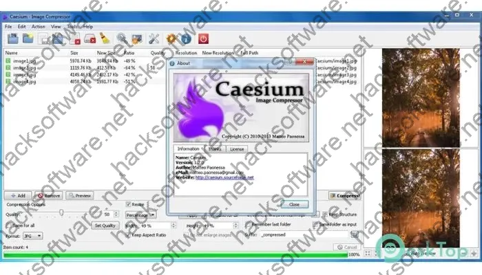 Caesium Image Compressor Activation key